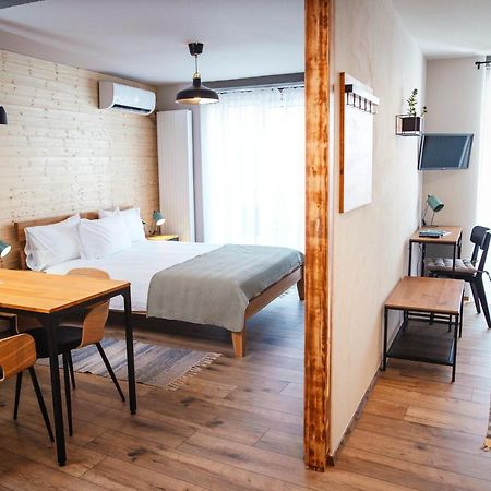 Casa Hintz Transilvania Făgăraş エクステリア 写真