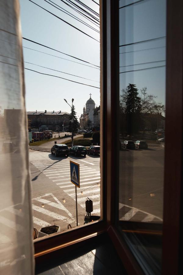 Casa Hintz Transilvania Făgăraş エクステリア 写真