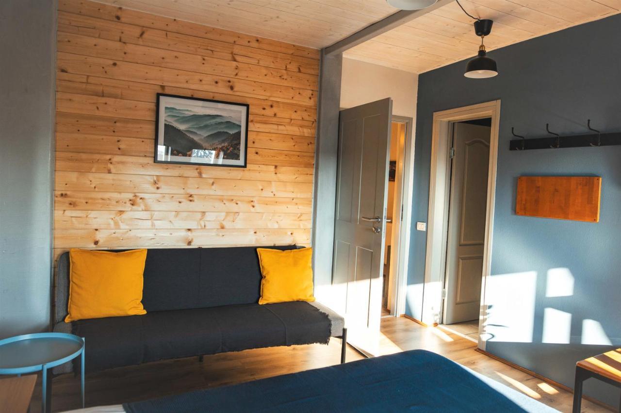 Casa Hintz Transilvania Făgăraş エクステリア 写真